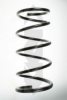 SPIDAN 55876 Coil Spring